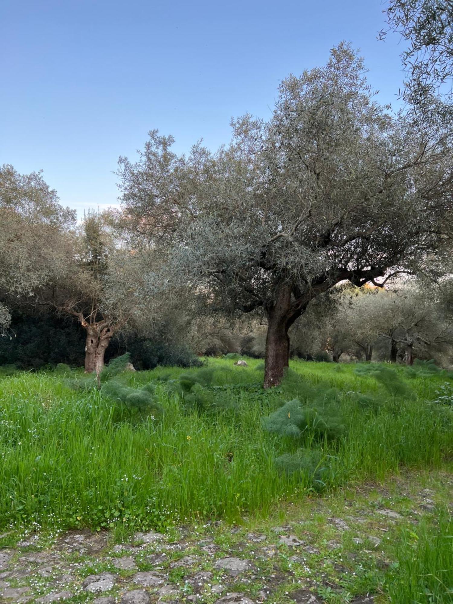 Muristene Pozzo Santa Cristina Paulilatino Extérieur photo