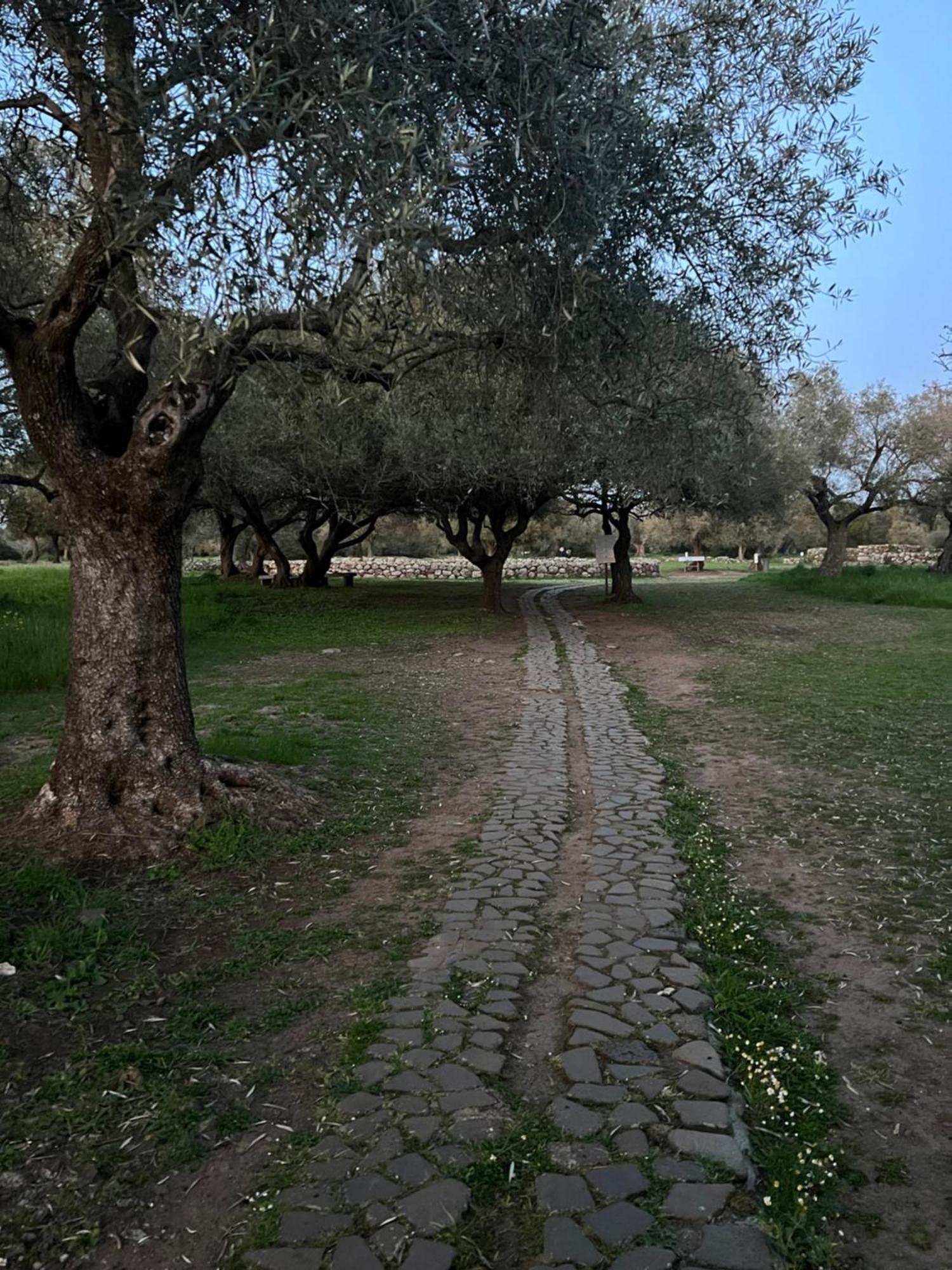 Muristene Pozzo Santa Cristina Paulilatino Extérieur photo