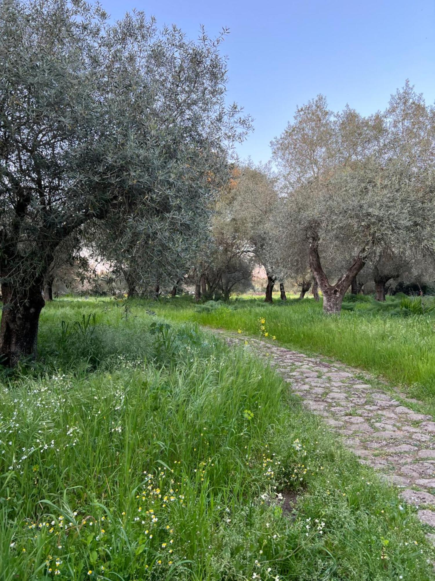 Muristene Pozzo Santa Cristina Paulilatino Extérieur photo