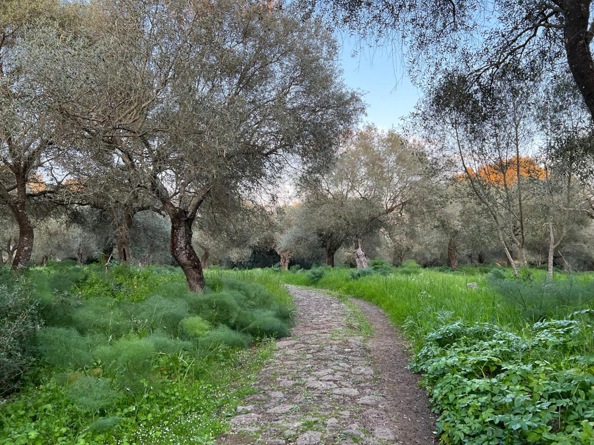 Muristene Pozzo Santa Cristina Paulilatino Extérieur photo
